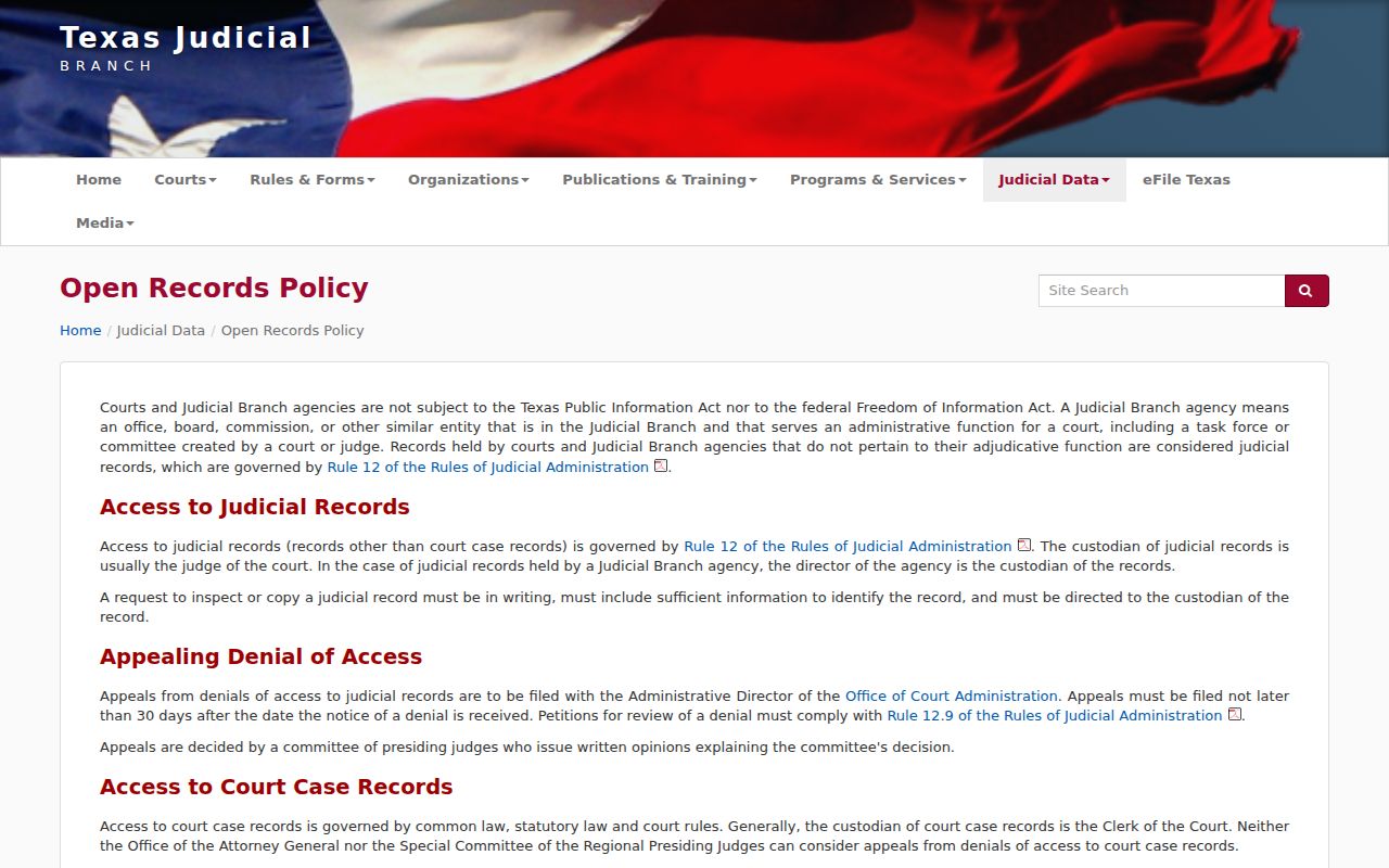 Bexar County active warrant records, Texas court public access policy